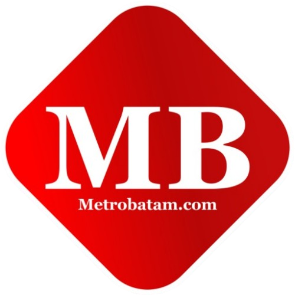 Logo Website