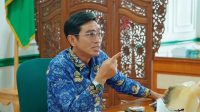 231