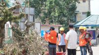 IMG-20260904-WA0156